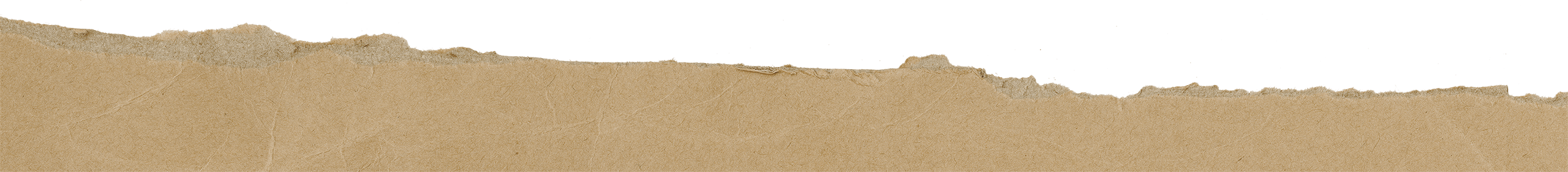 Crepsgraphic_GerberGear_Craftpaper_Transparent_bottom