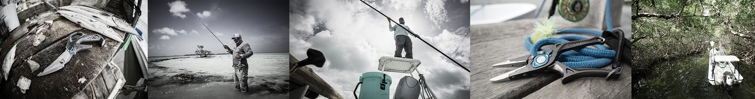 Crepsgraphic_saltfish_07