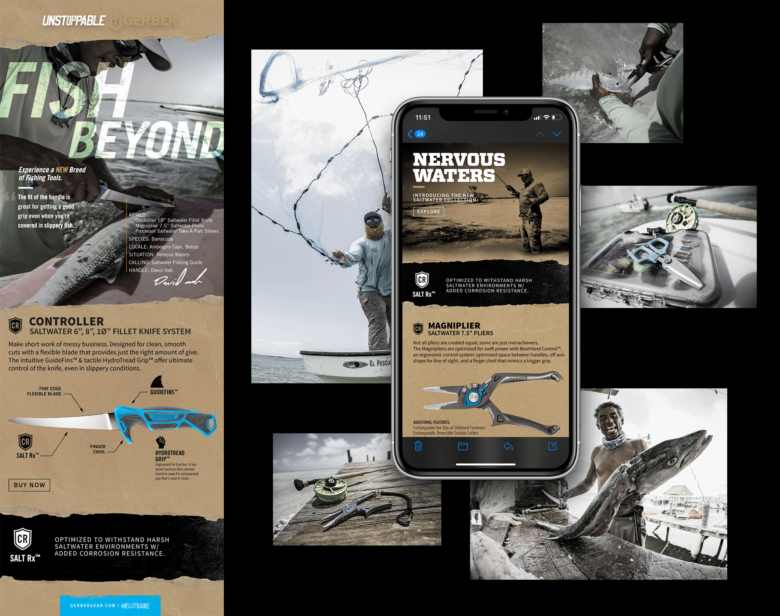 crepsgraphic_gerberFISH_email_ex_01