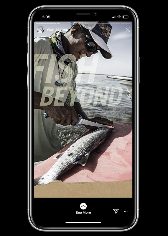 crepsgraphic_gerberFISH_social_STORIES2_01