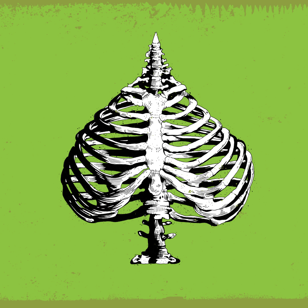 crepsgraphic_soflete_Diaphram_01