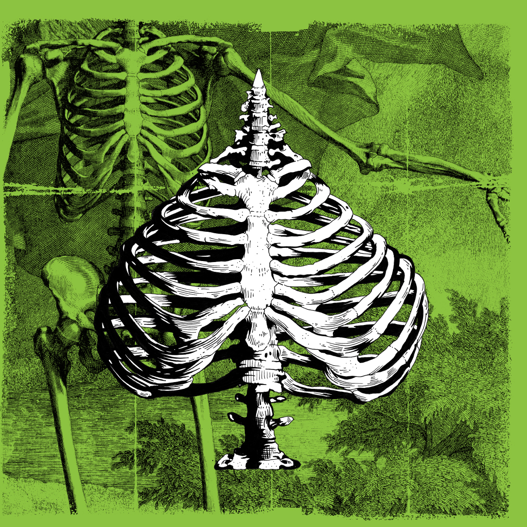 crepsgraphic_soflete_Diaphram_03