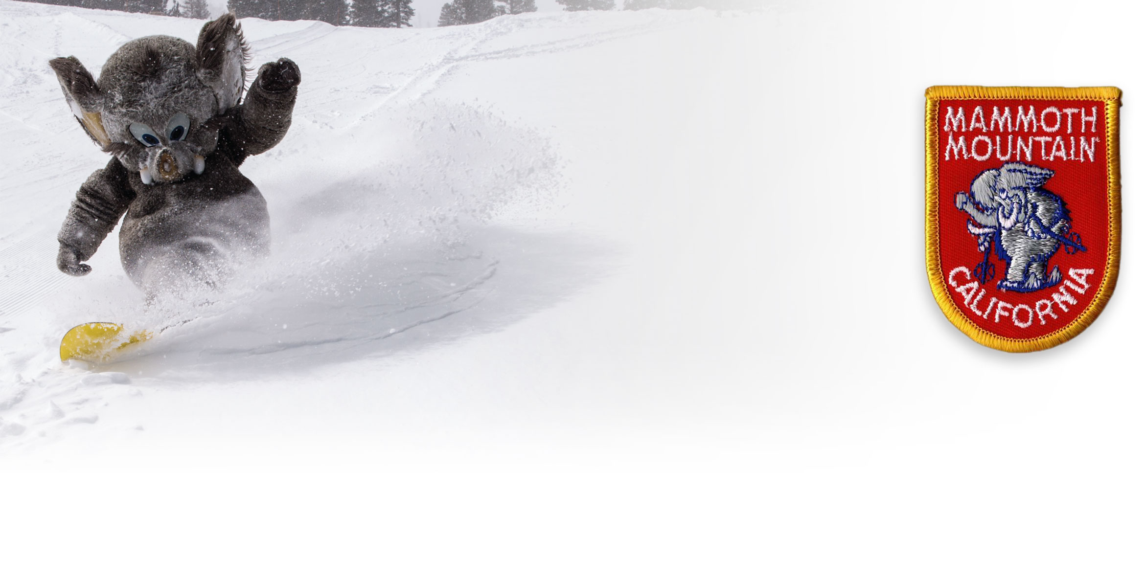 crepsgraphic_mamapparel_panel_21